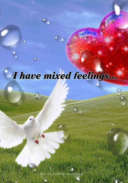 Dove And Mixed Feelings Y2K Mesh Crop Top Cherrykitten