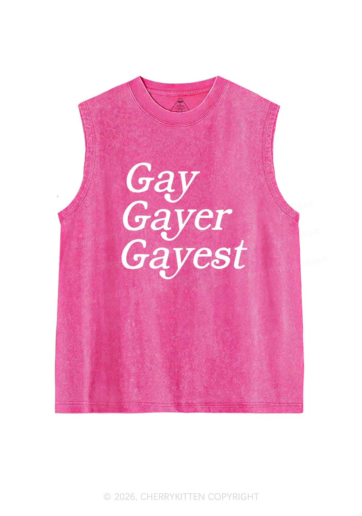Gay Gayer Gayest Pride Y2K Washed Muscle Tank Cherrykitten