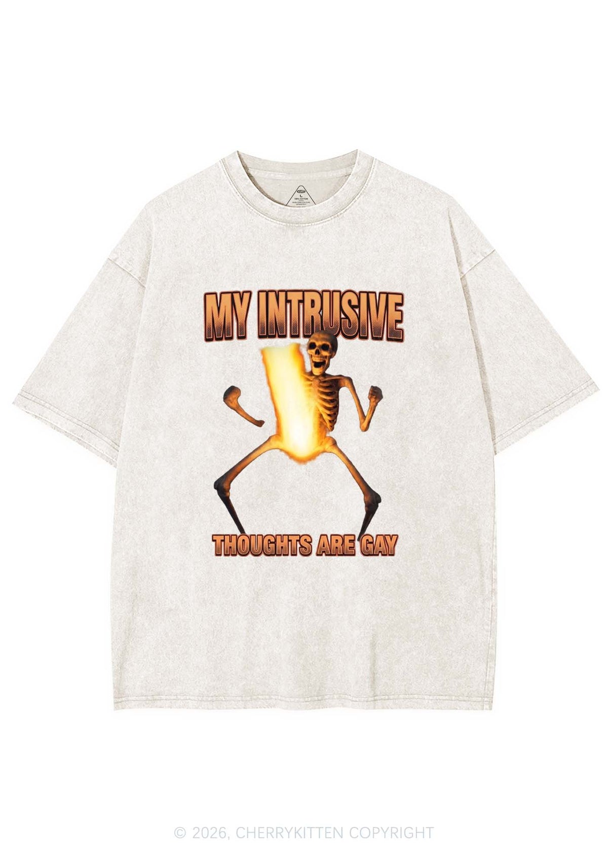 My Intrusive Thoughts Are Gay Pride Y2K Shirts Washed Tee Cherrykitten