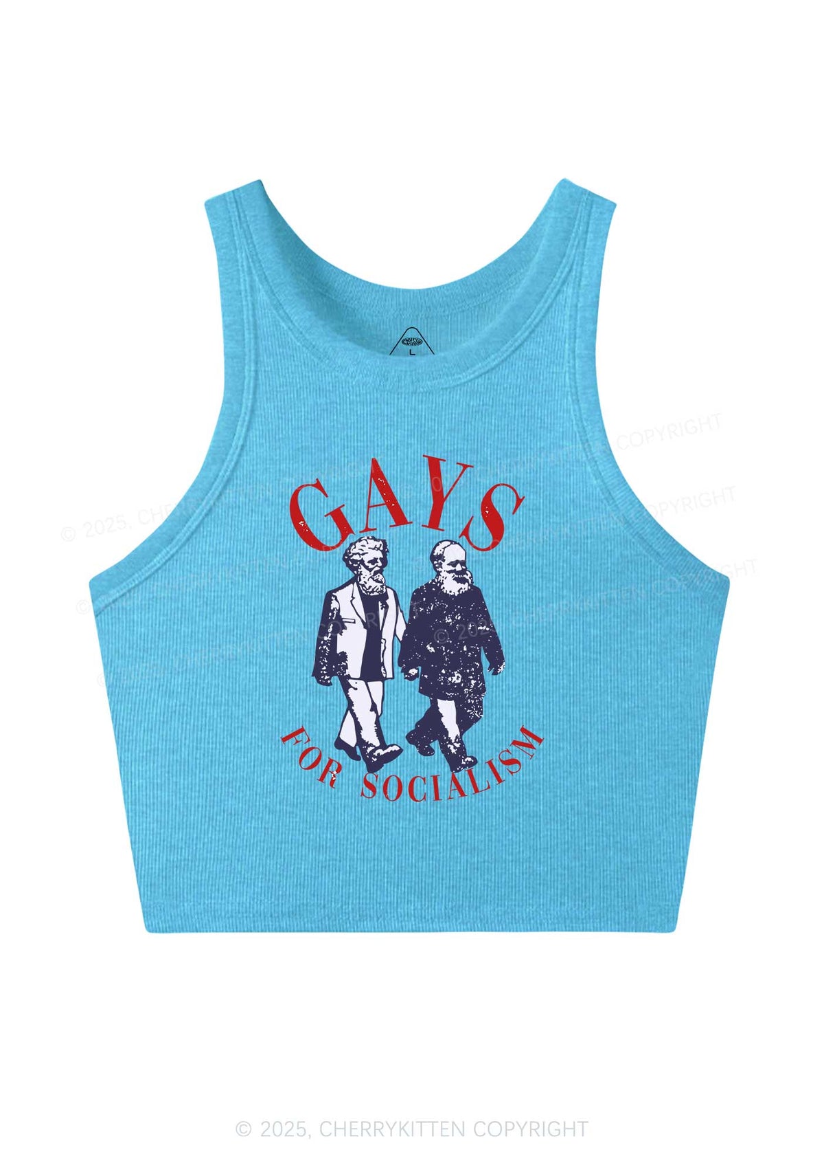 Gays For Socialism Pride Y2K Crop Tank Top Cherrykitten