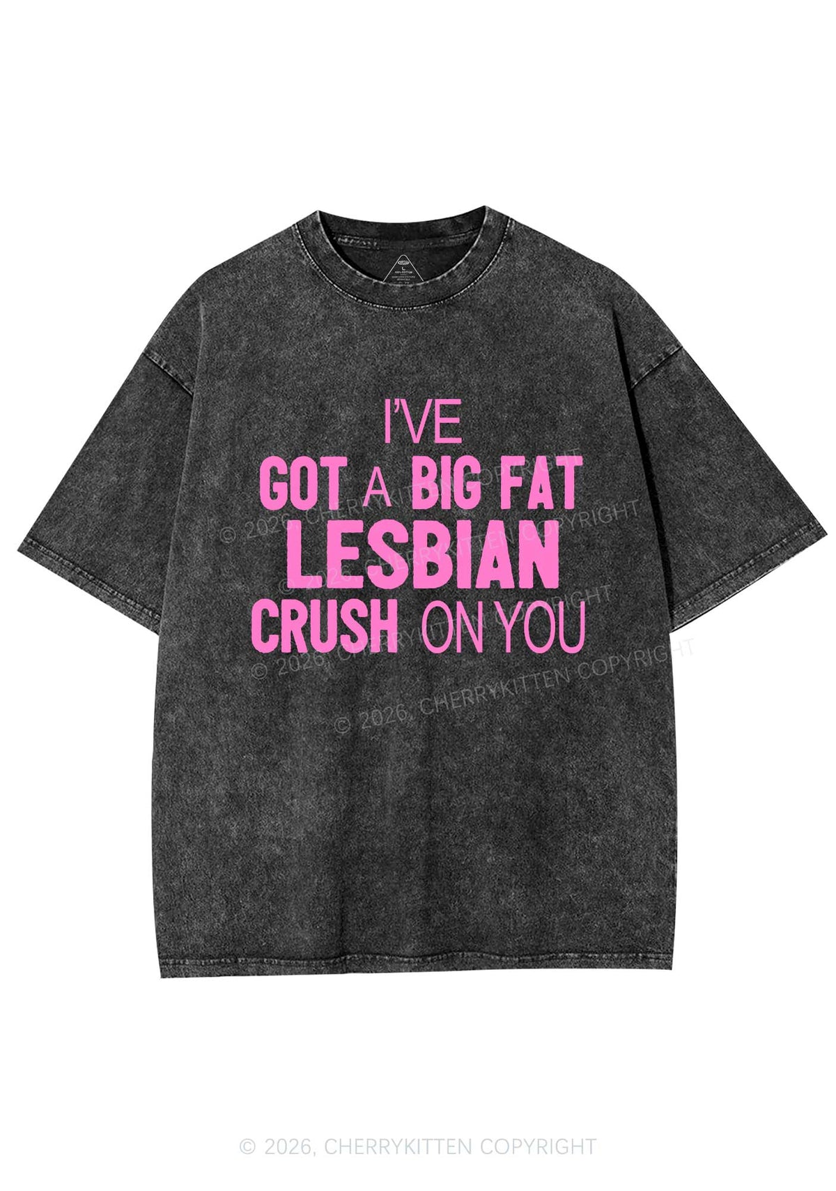 Big Fat Lesbian Crush Pride Y2K Shirts Washed Tee Cherrykitten