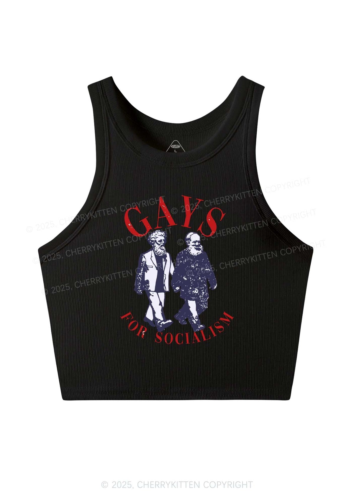 Gays For Socialism Pride Y2K Crop Tank Top Cherrykitten