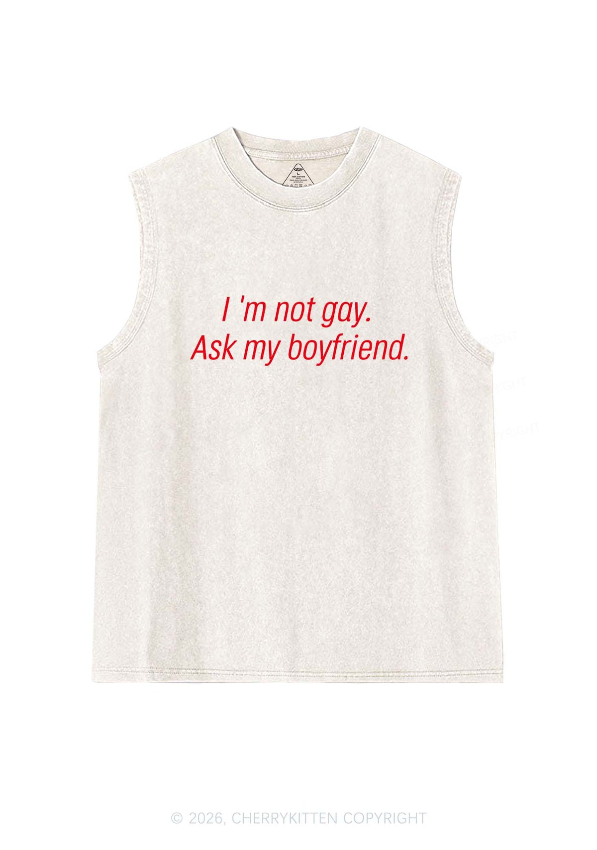 Im Not Gay Pride Y2K Washed Muscle Tank Cherrykitten