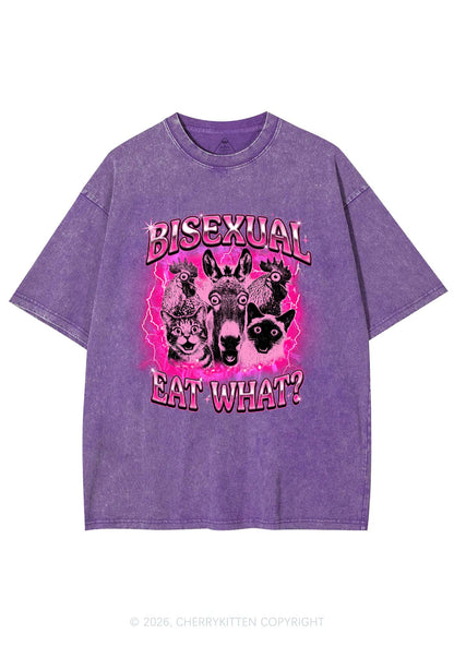 Bisexual Eat What Pride Y2K Shirts Washed Tee Cherrykitten