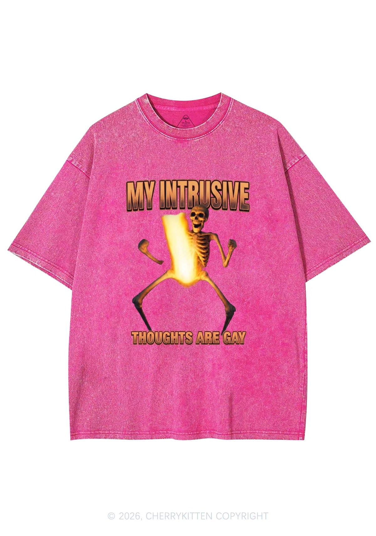 My Intrusive Thoughts Are Gay Pride Y2K Shirts Washed Tee Cherrykitten