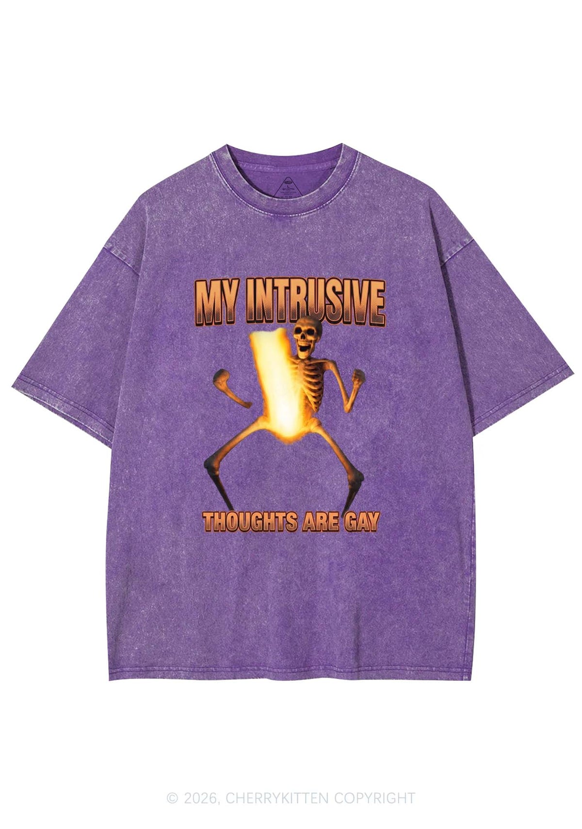 My Intrusive Thoughts Are Gay Pride Y2K Shirts Washed Tee Cherrykitten