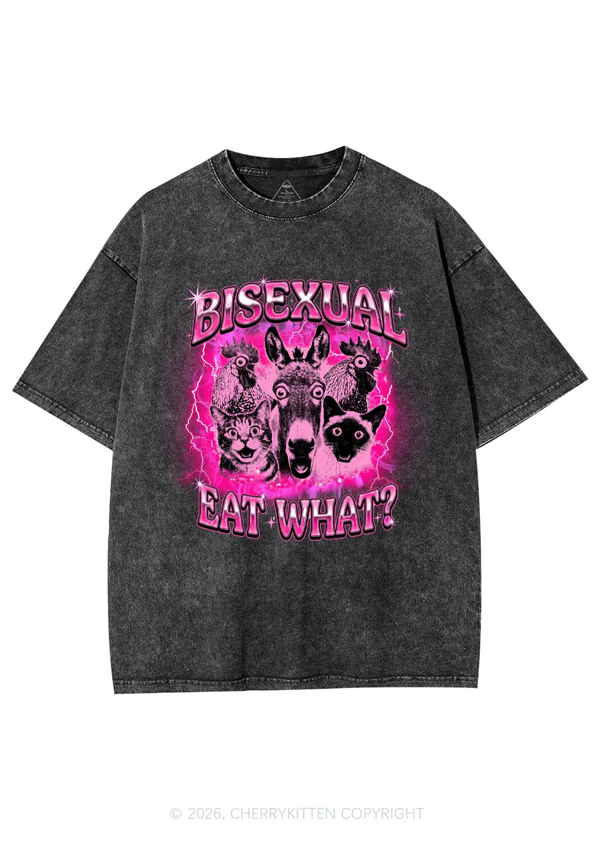 Bisexual Eat What Pride Y2K Shirts Washed Tee Cherrykitten