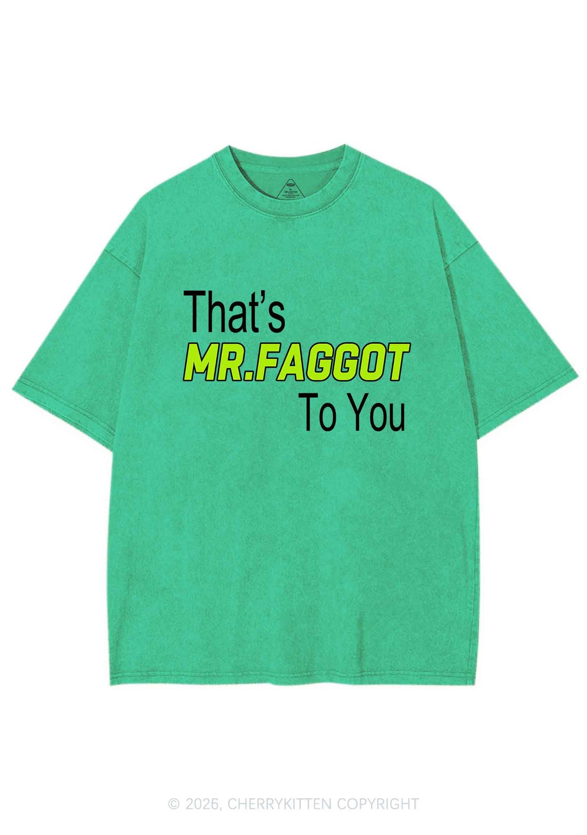 Thats Mr Faggot To You Pride Y2K Shirts Washed Tee Cherrykitten