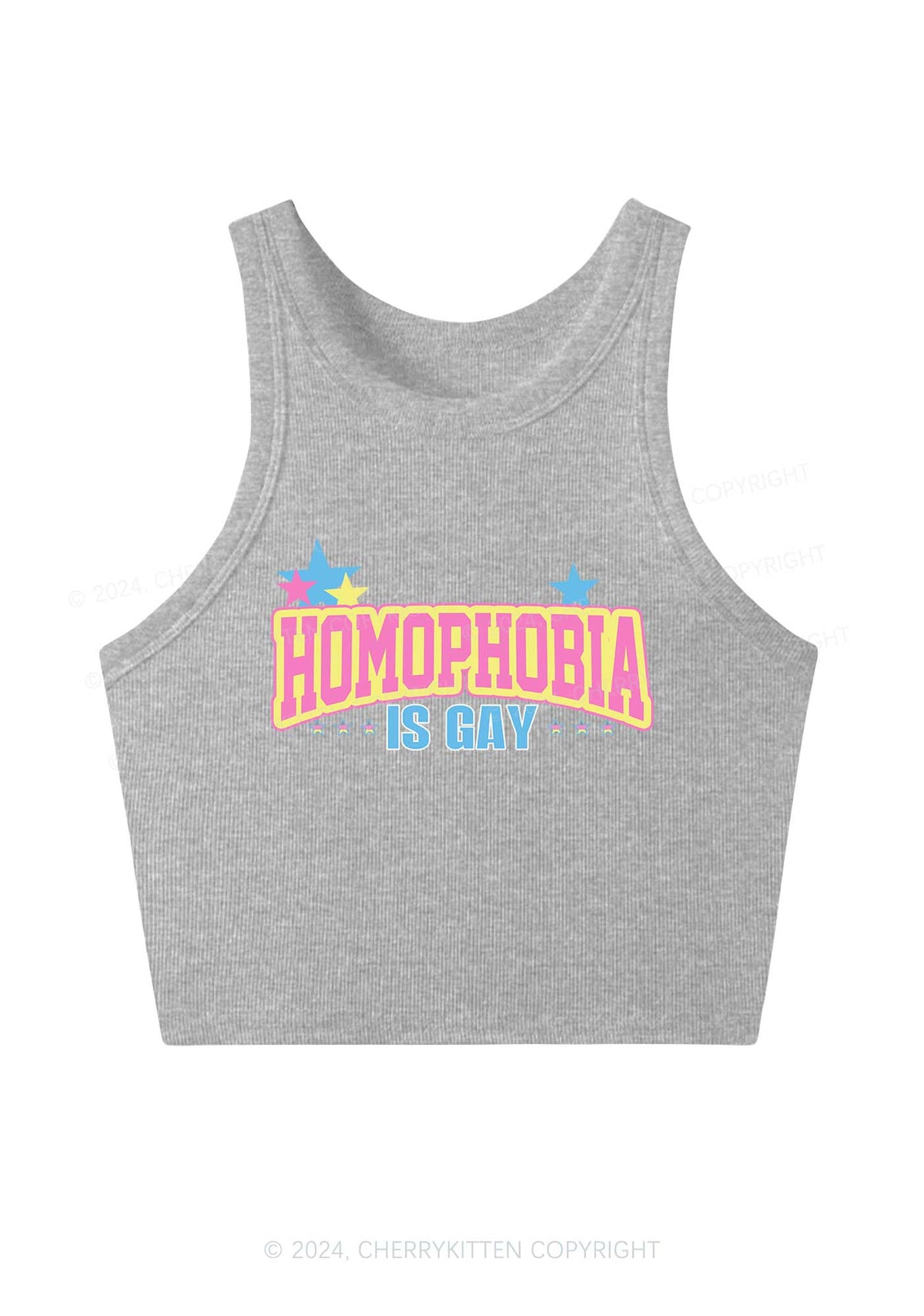 Homophobia Is Gay Y2K Crop Tank Top Cherrykitten