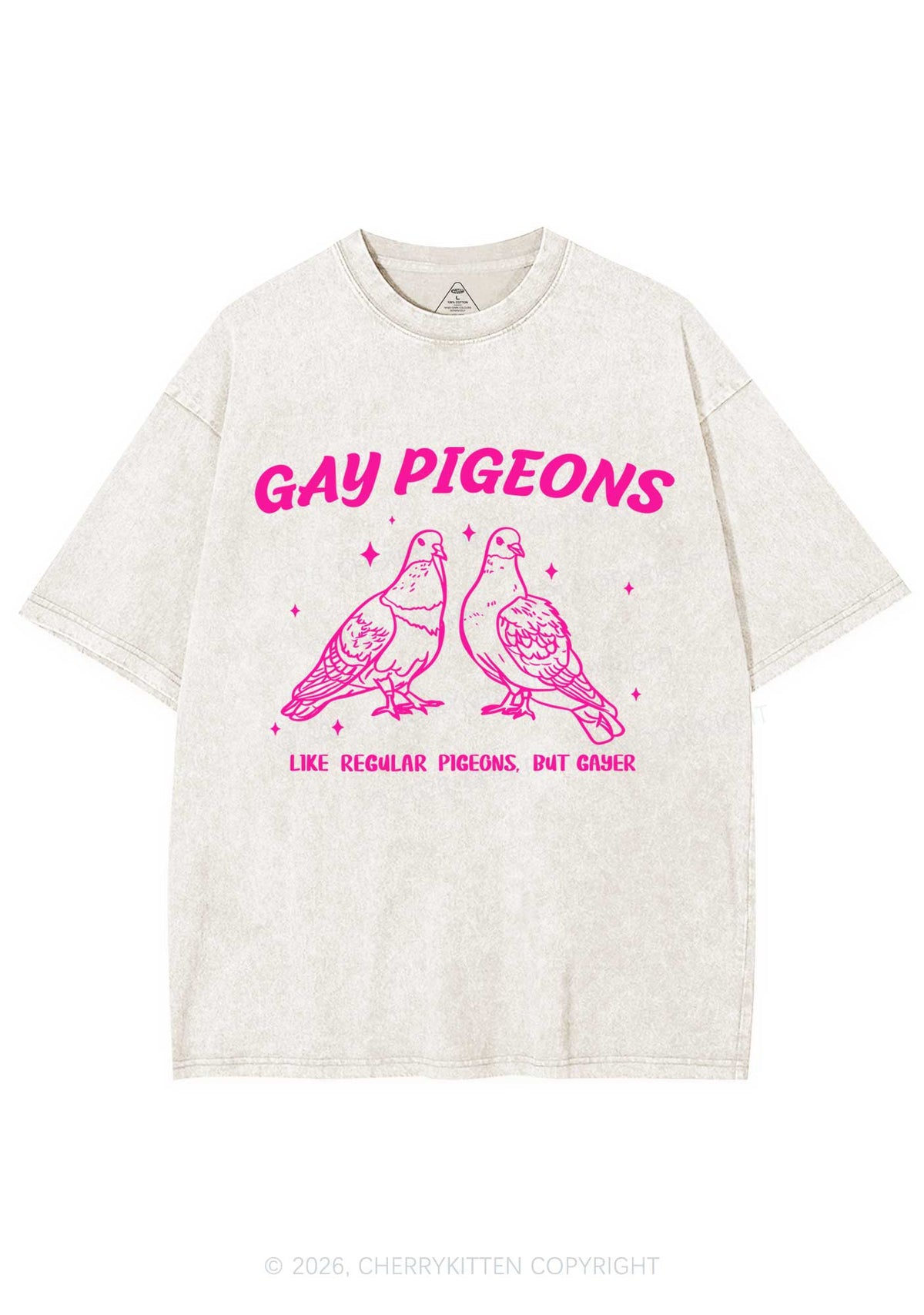 Gay Pigeons Pride Y2K Shirts Washed Tee Cherrykitten