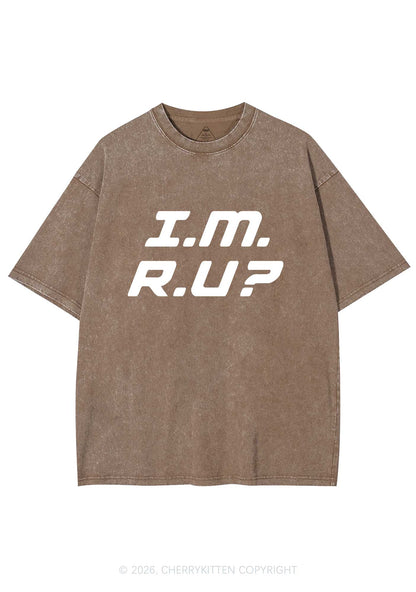 Im Ru Pride Y2K Shirts Washed Tee Cherrykitten