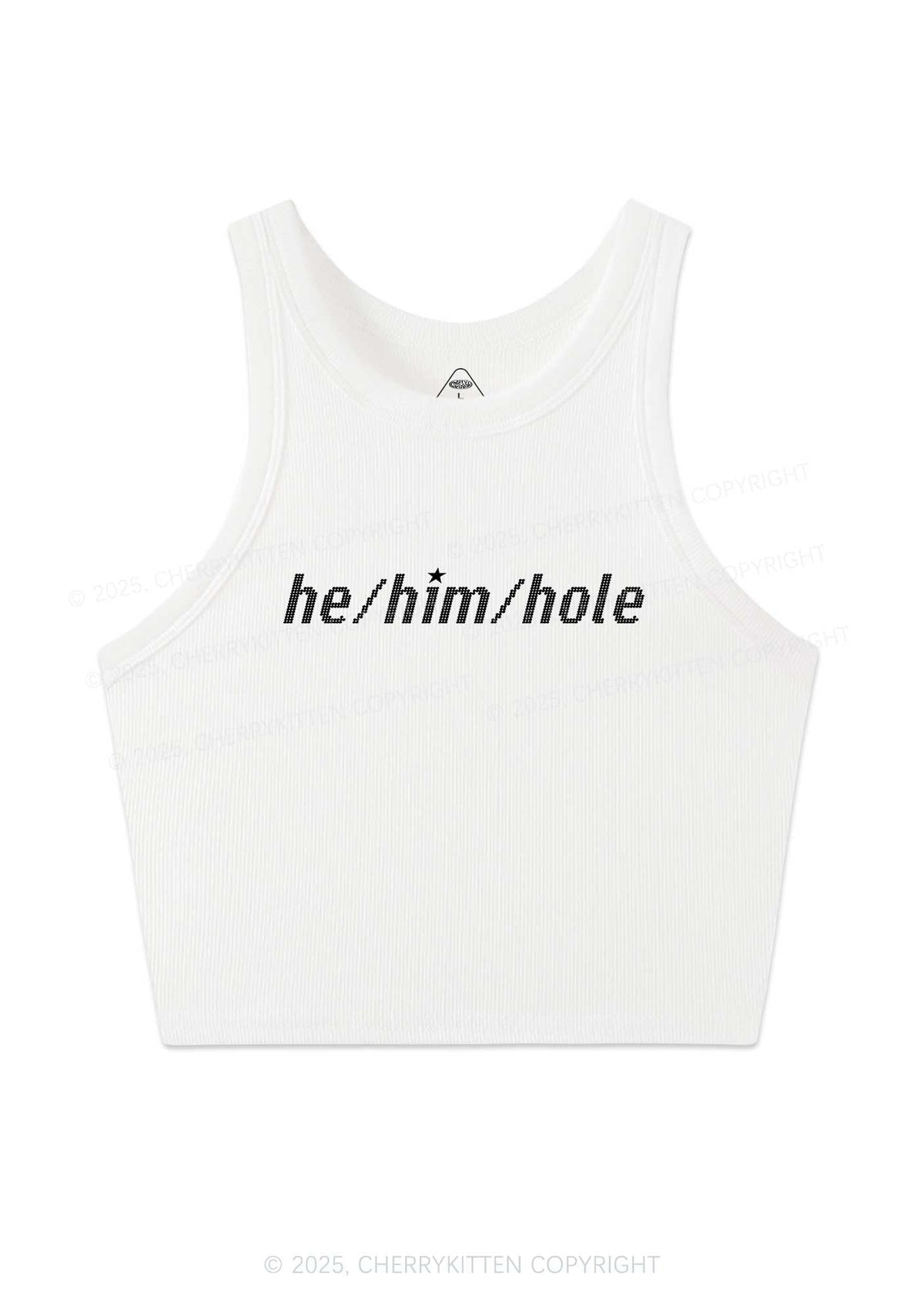 He Him Hole Pride Y2K Crop Tank Top Cherrykitten