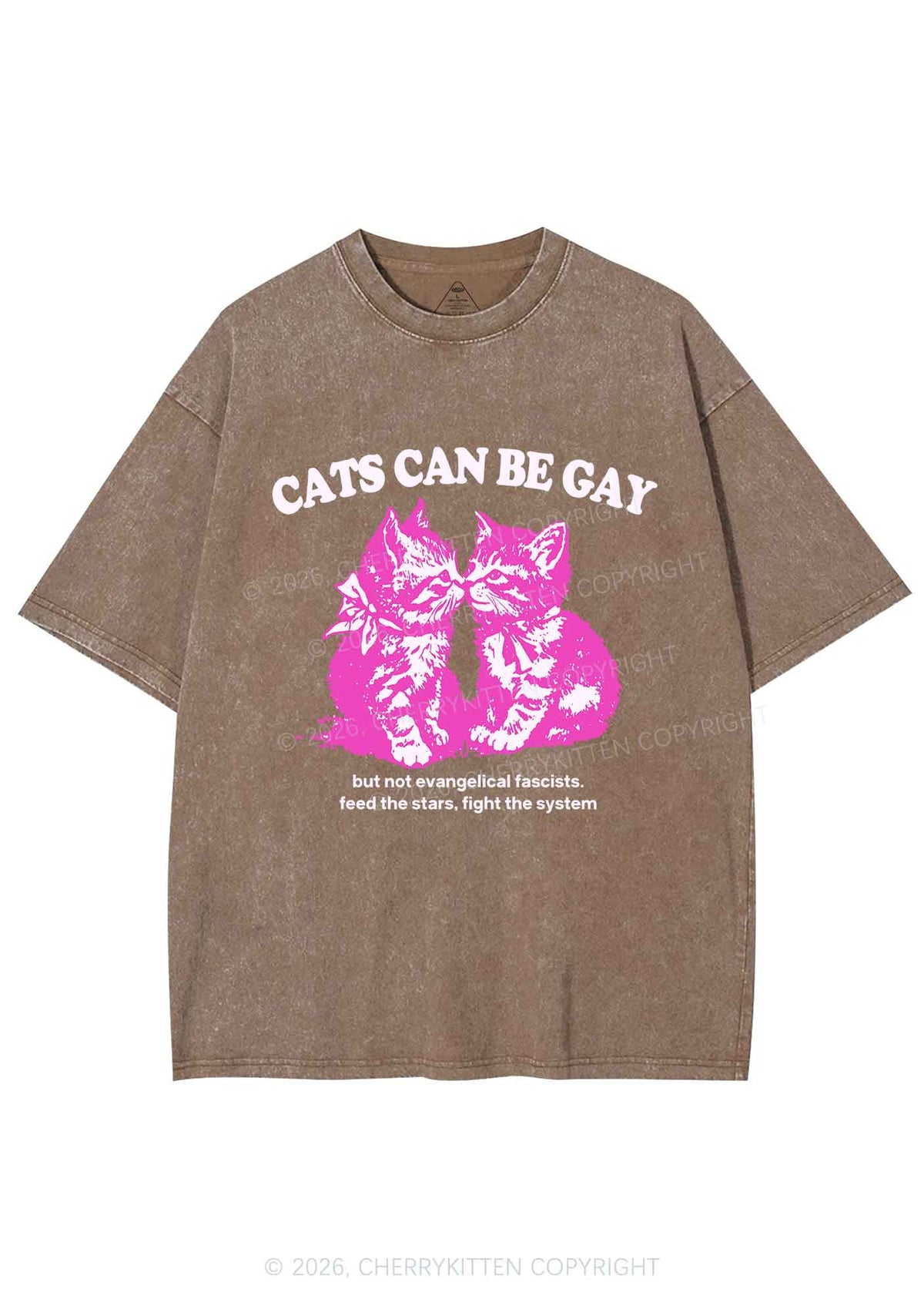 Cat Can Be Gay Pride Y2K Shirts Washed Tee Cherrykitten