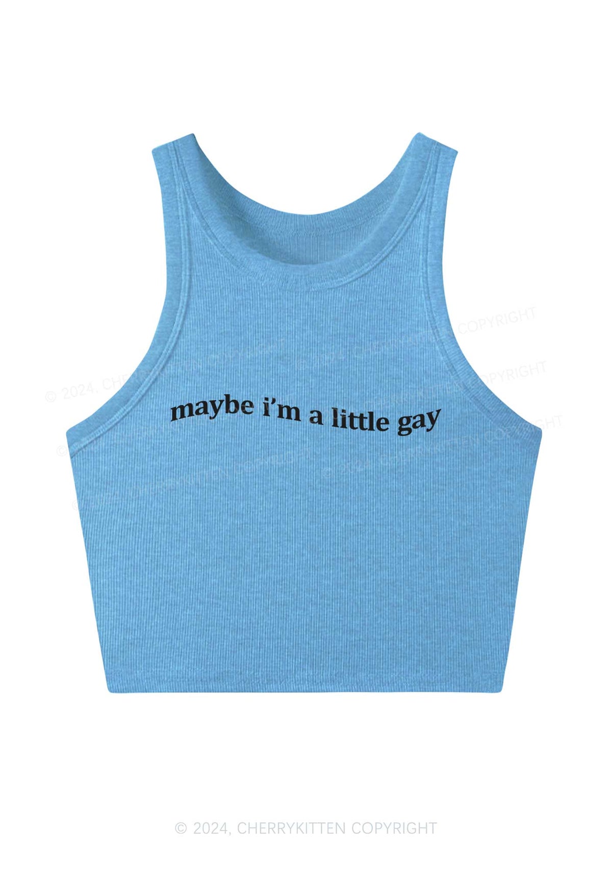 Maybe I'm A Little Gay Y2K Crop Tank Top Cherrykitten