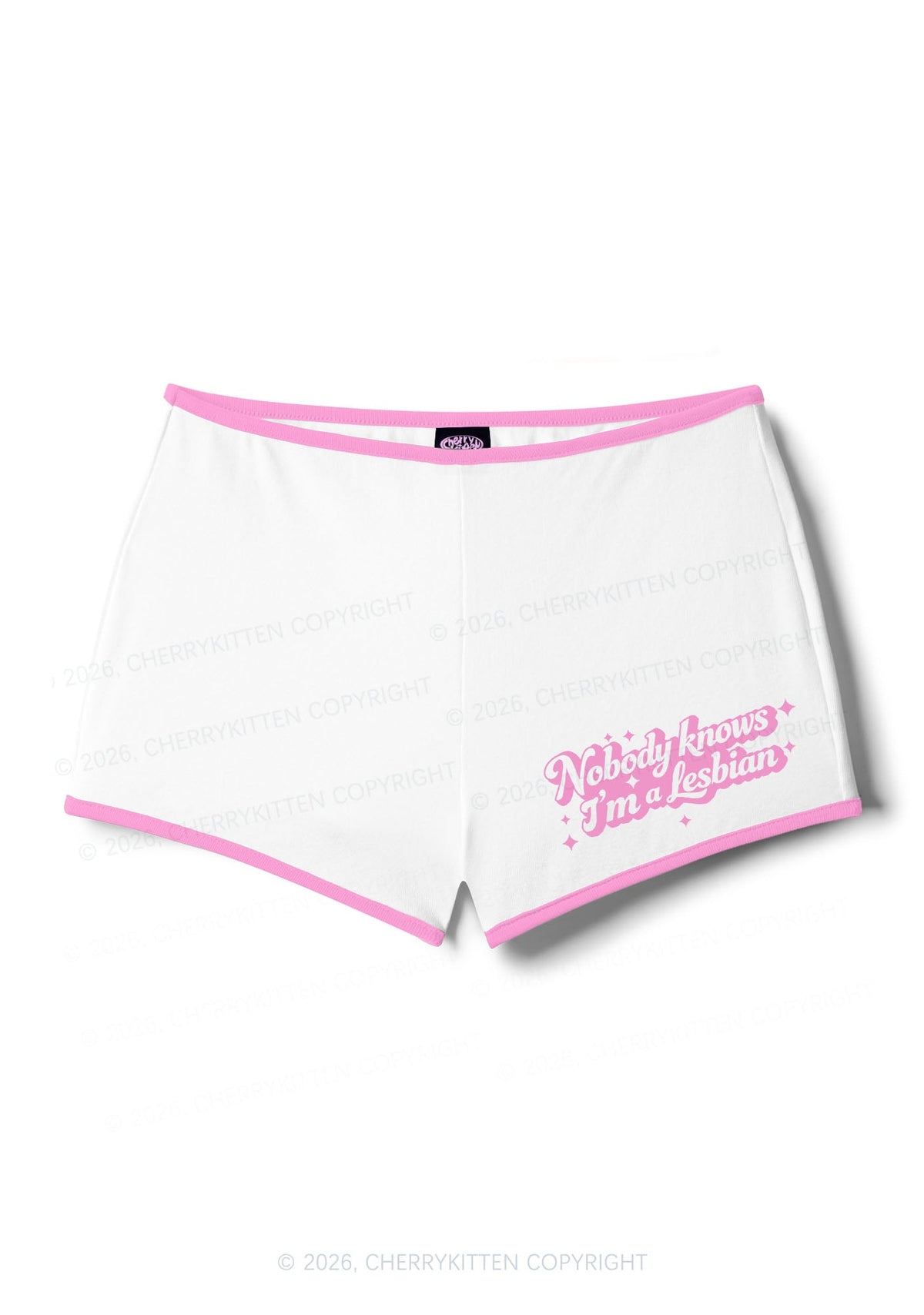Nobody Knows Im A Lesbian Pride Y2K Booty Shorts Cherrykitten