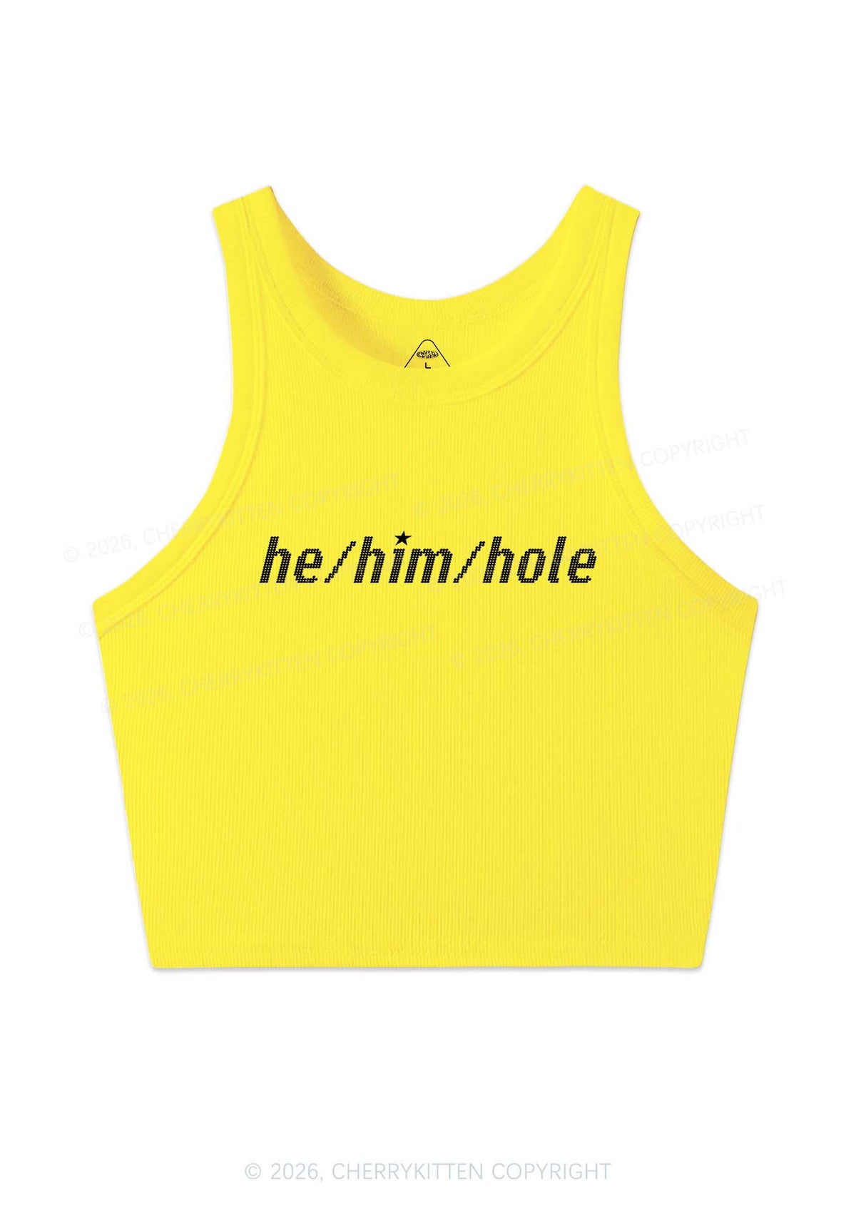 He Him Hole Pride Y2K Crop Tank Top Cherrykitten