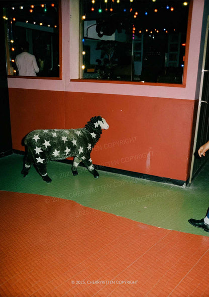 Sheep Starry Wool Y2K Mesh Crop Top Cherrykitten