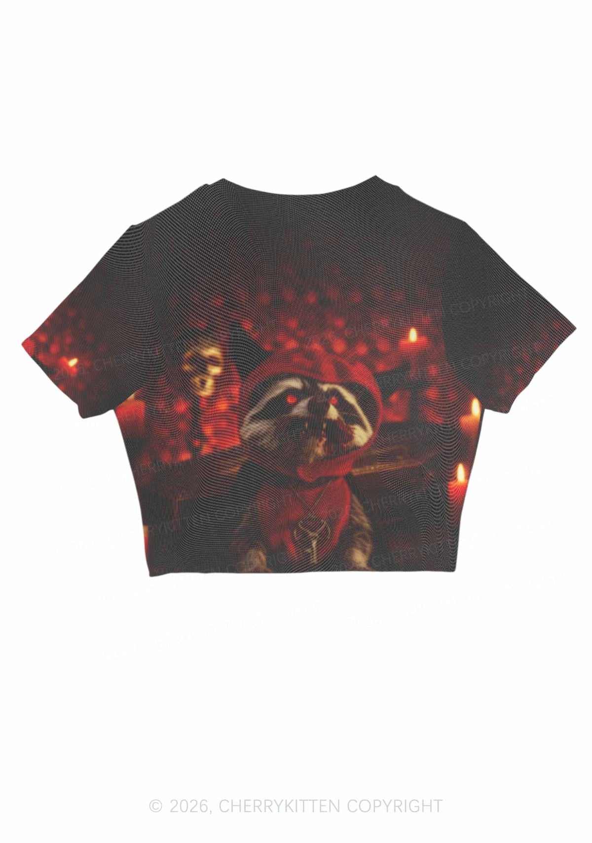 Halloween Vampire Raccoon Y2K Mesh Crop Top Cherrykitten