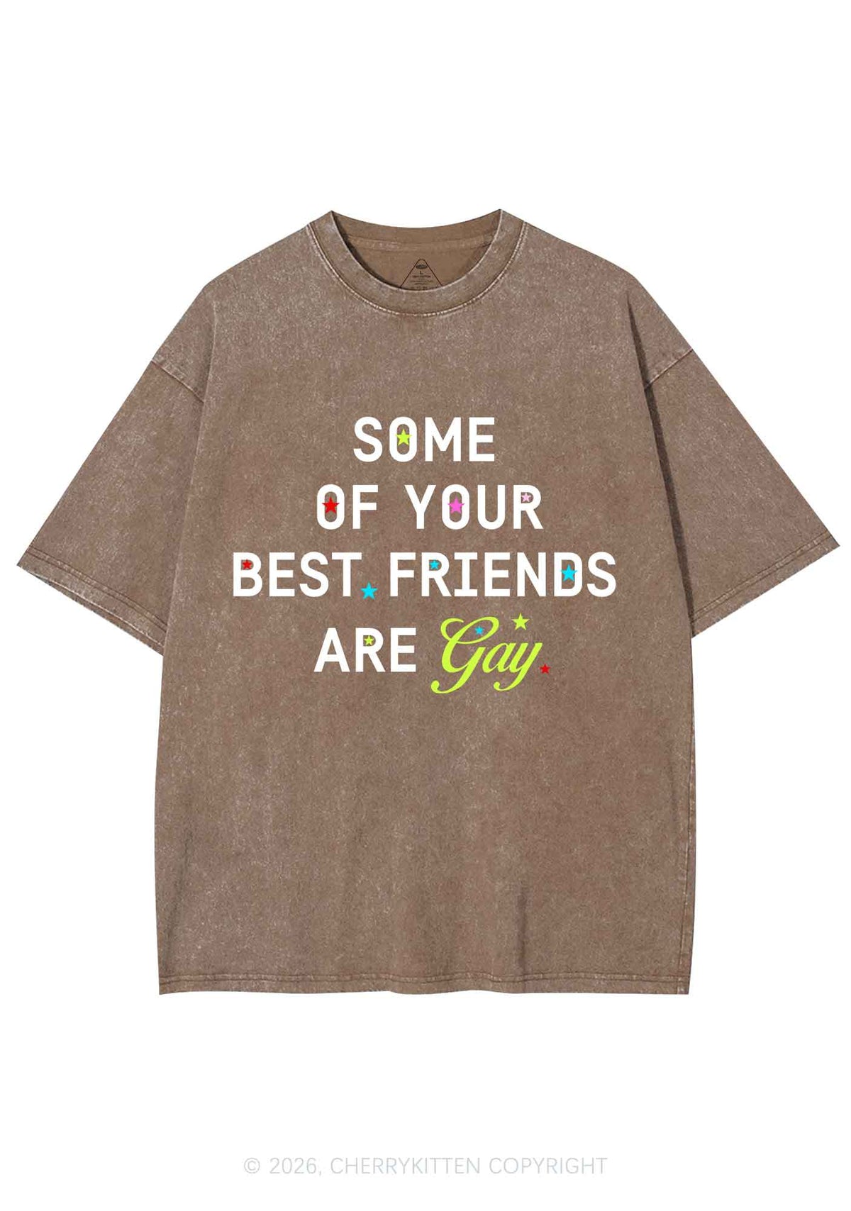 Your Best Friends Are Gay Pride Y2K Shirts Washed Tee Cherrykitten