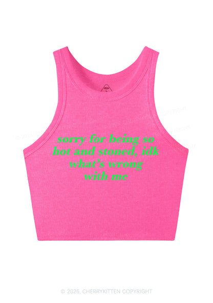 Sorry For Being Hot And Stoned Y2K Crop Tank Top Cherrykitten