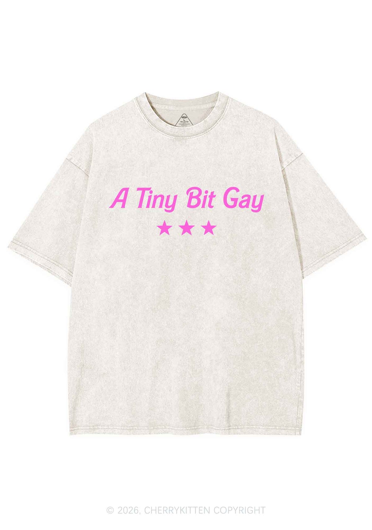 A Tiny Bit Gay Pride Y2K Shirts Washed Tee Cherrykitten