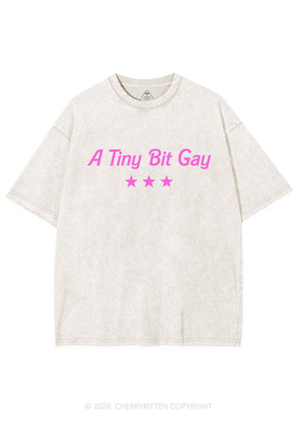 A Tiny Bit Gay Pride Y2K Shirts Washed Tee Cherrykitten