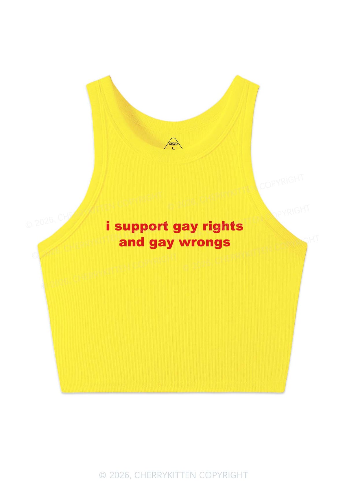 Support Gay Rights Y2K Crop Tank Top Cherrykitten