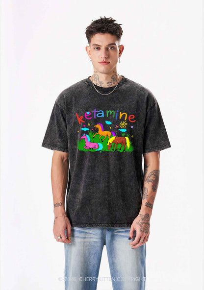 Rainbow K Pony Y2K Shirts Washed Tee Cherrykitten