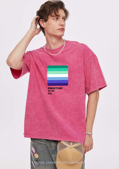 Pridetone Gay Pride Y2K Shirts Washed Tee Cherrykitten