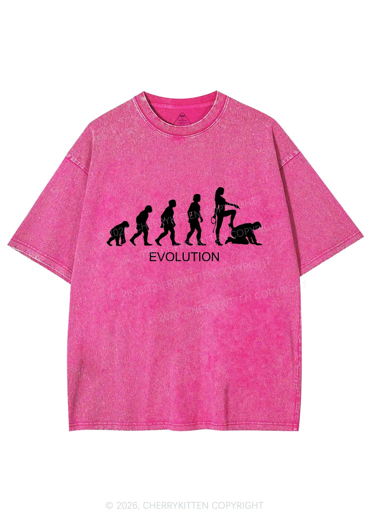 Female Evolution Y2K Shirts Washed Tee Cherrykitten
