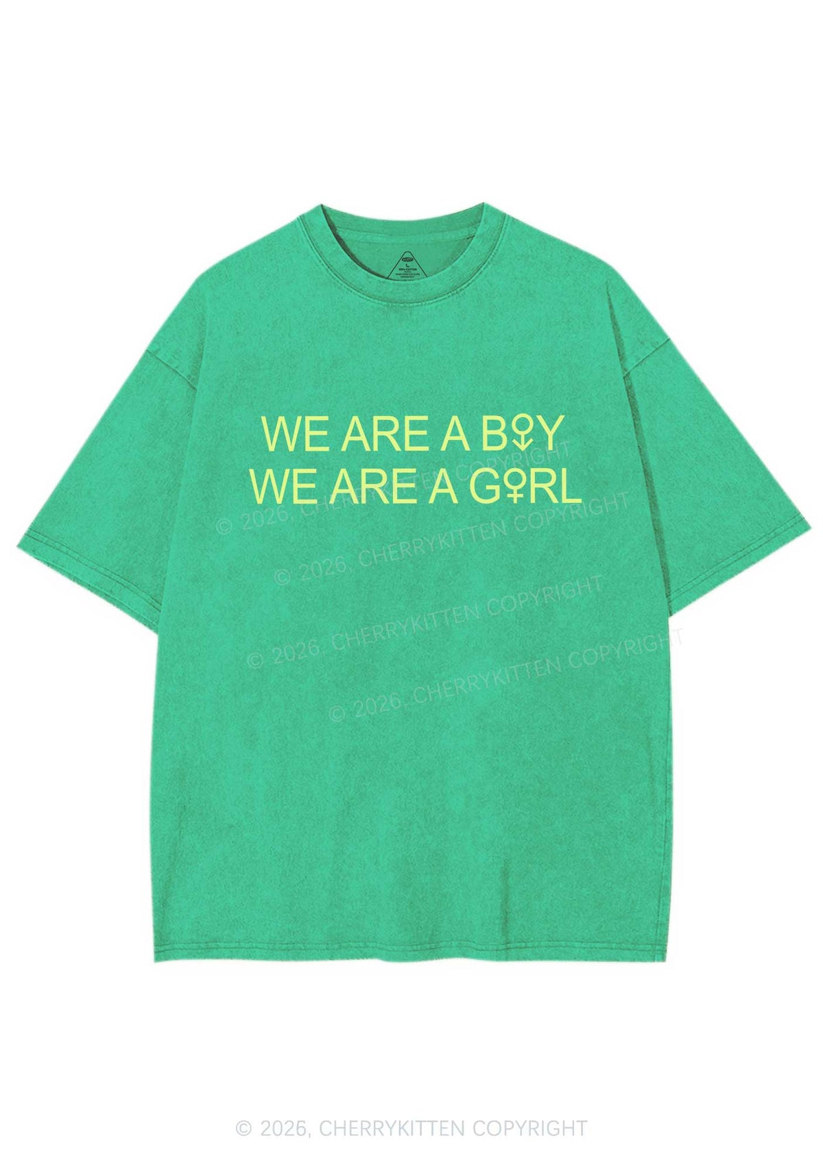 We Are A Boy Pride Y2K Shirts Washed Tee Cherrykitten
