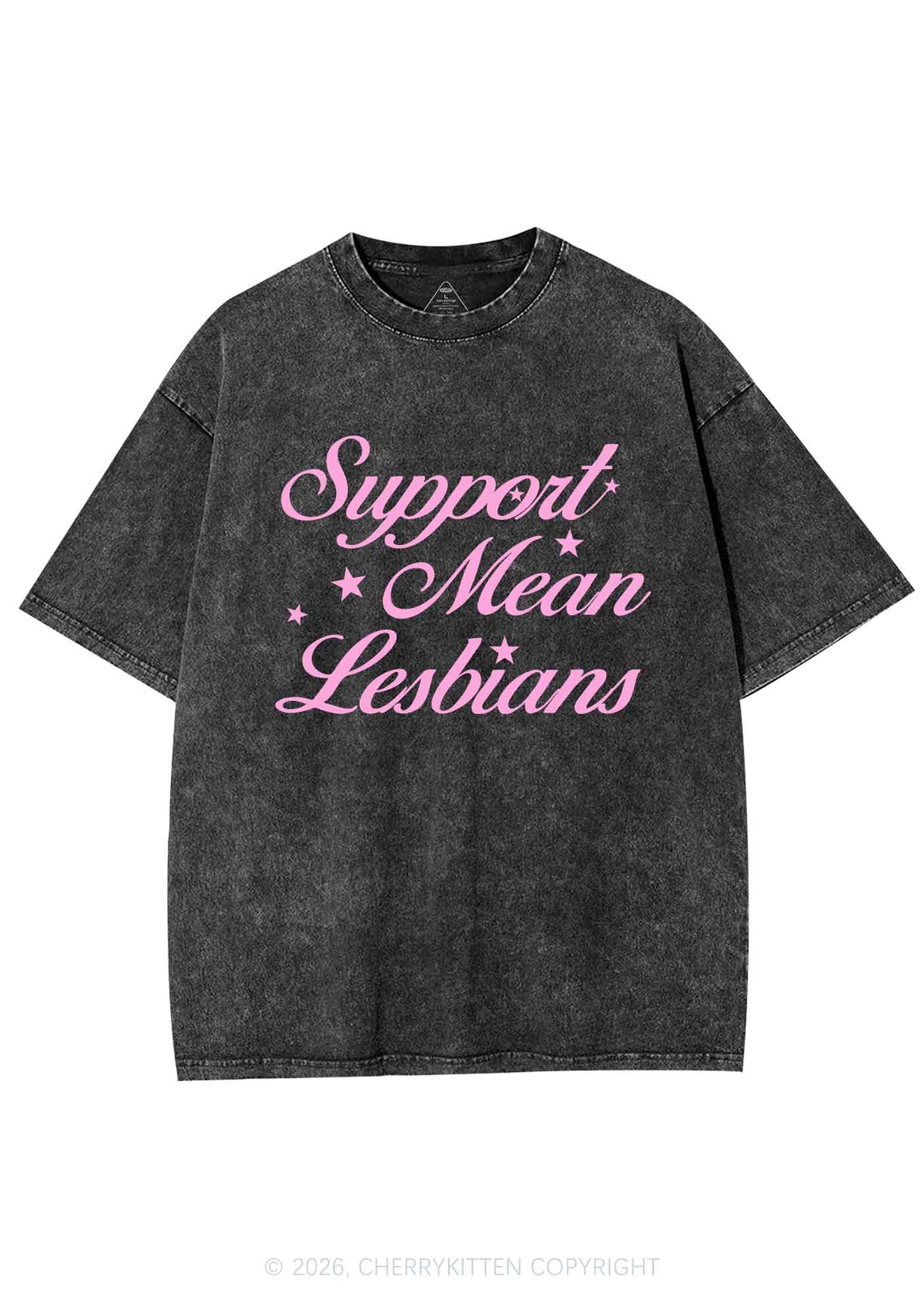 Support Mean Leabians Pride Y2K Shirts Washed Tee Cherrykitten