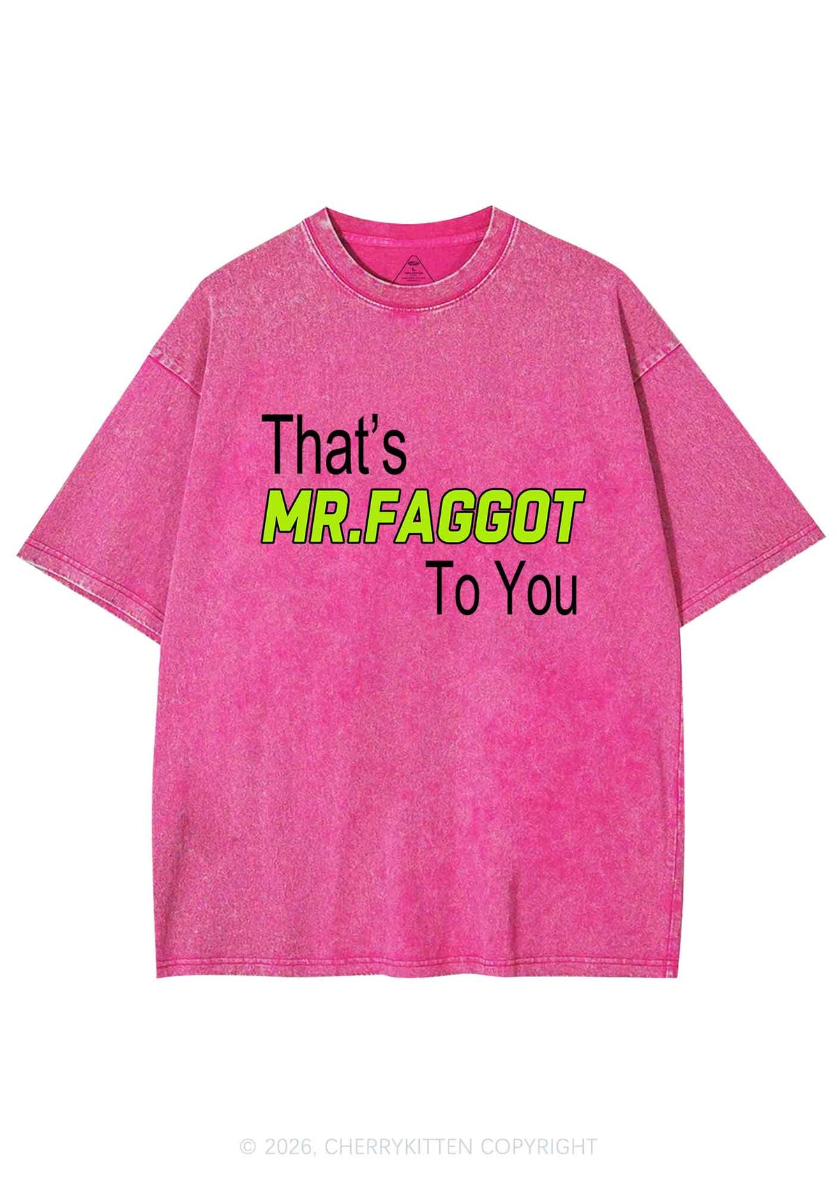 Thats Mr Faggot To You Pride Y2K Shirts Washed Tee Cherrykitten