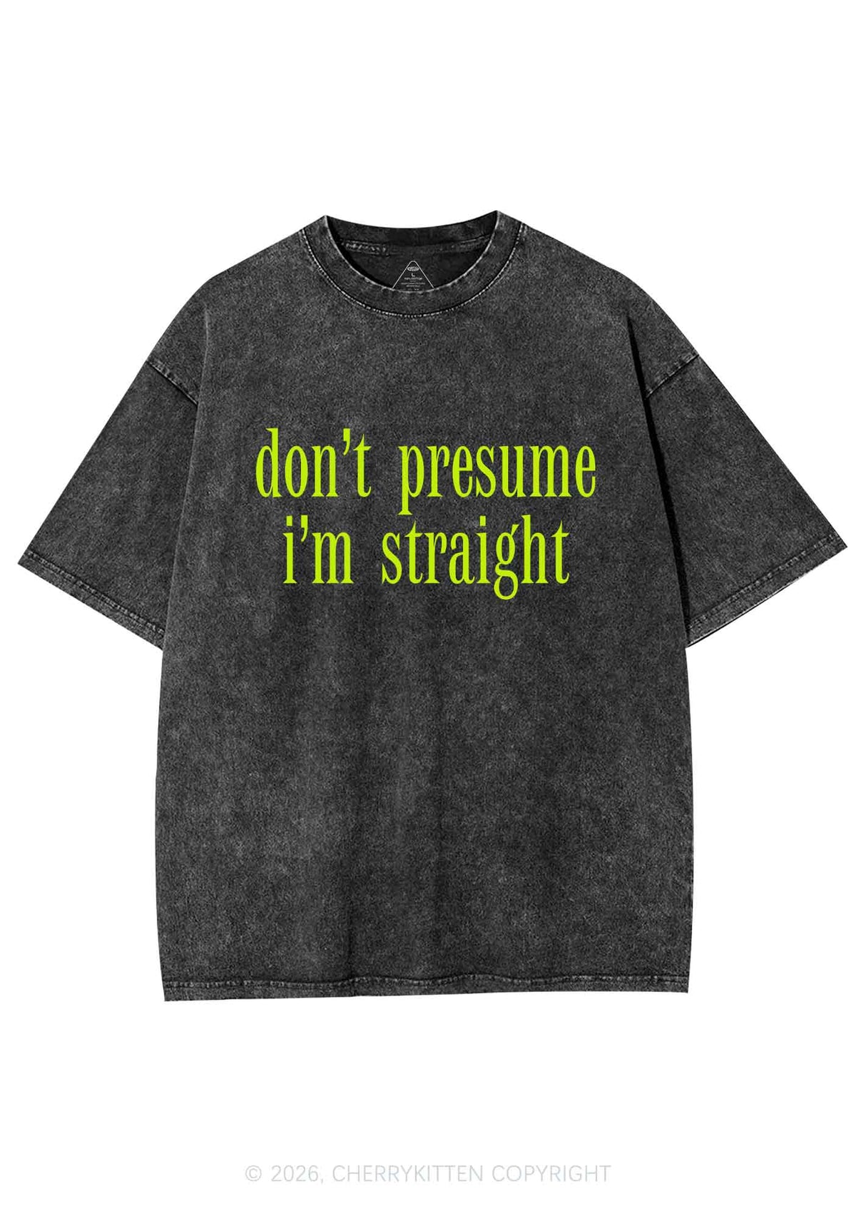 Dont Presume Im Straight Pride Y2K Shirts Washed Tee Cherrykitten