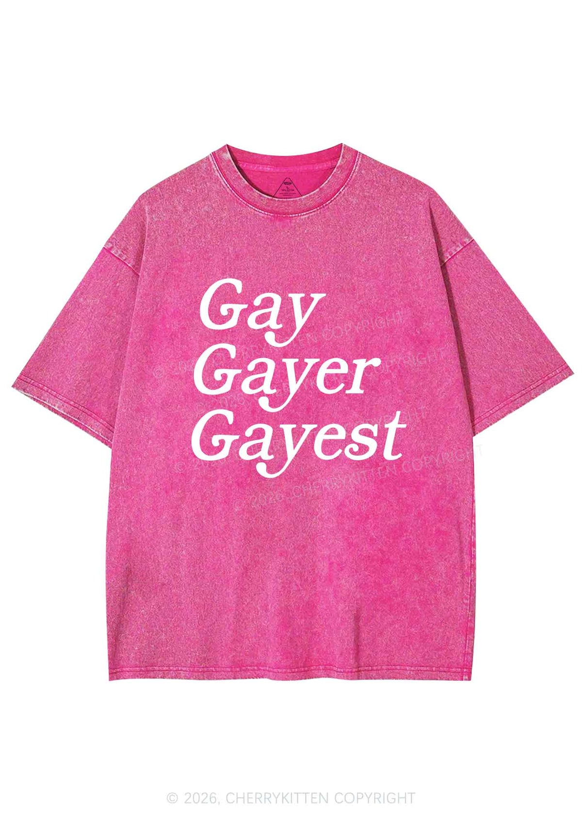 Gay Gayer Gayest Pride Y2K Shirts Washed Tee Cherrykitten