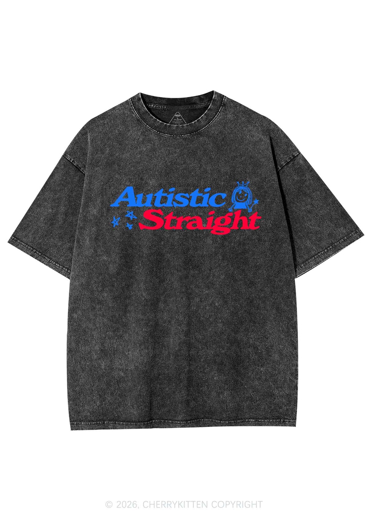 Autistic Straight Pride Y2K Shirts Washed Tee Cherrykitten