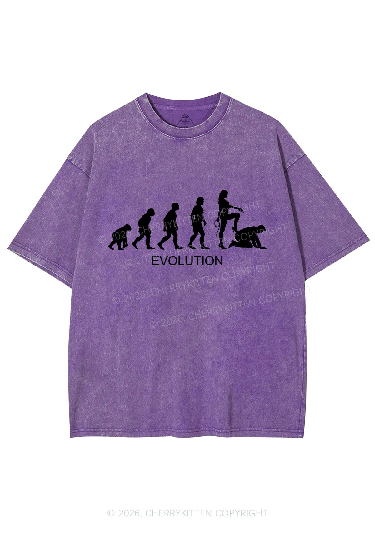 Female Evolution Y2K Shirts Washed Tee Cherrykitten