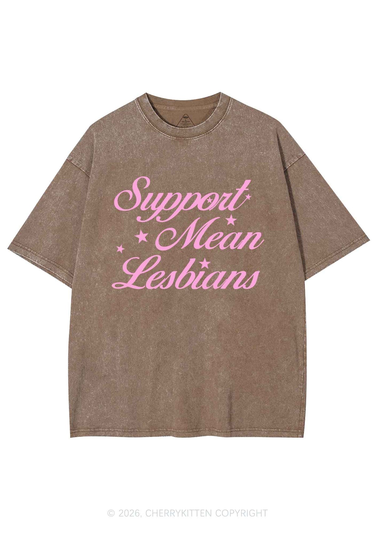 Support Mean Leabians Pride Y2K Shirts Washed Tee Cherrykitten
