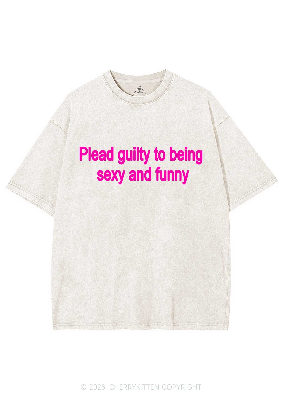Plead Guilty To Being Funny Y2K Shirts Washed Tee Cherrykitten