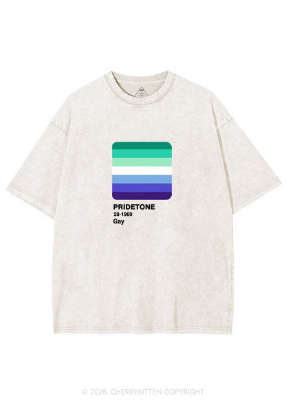 Pridetone Gay Pride Y2K Shirts Washed Tee Cherrykitten
