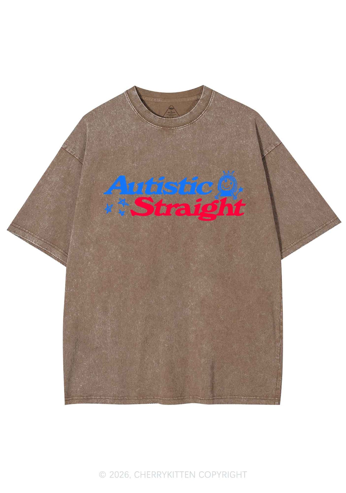 Autistic Straight Pride Y2K Shirts Washed Tee Cherrykitten