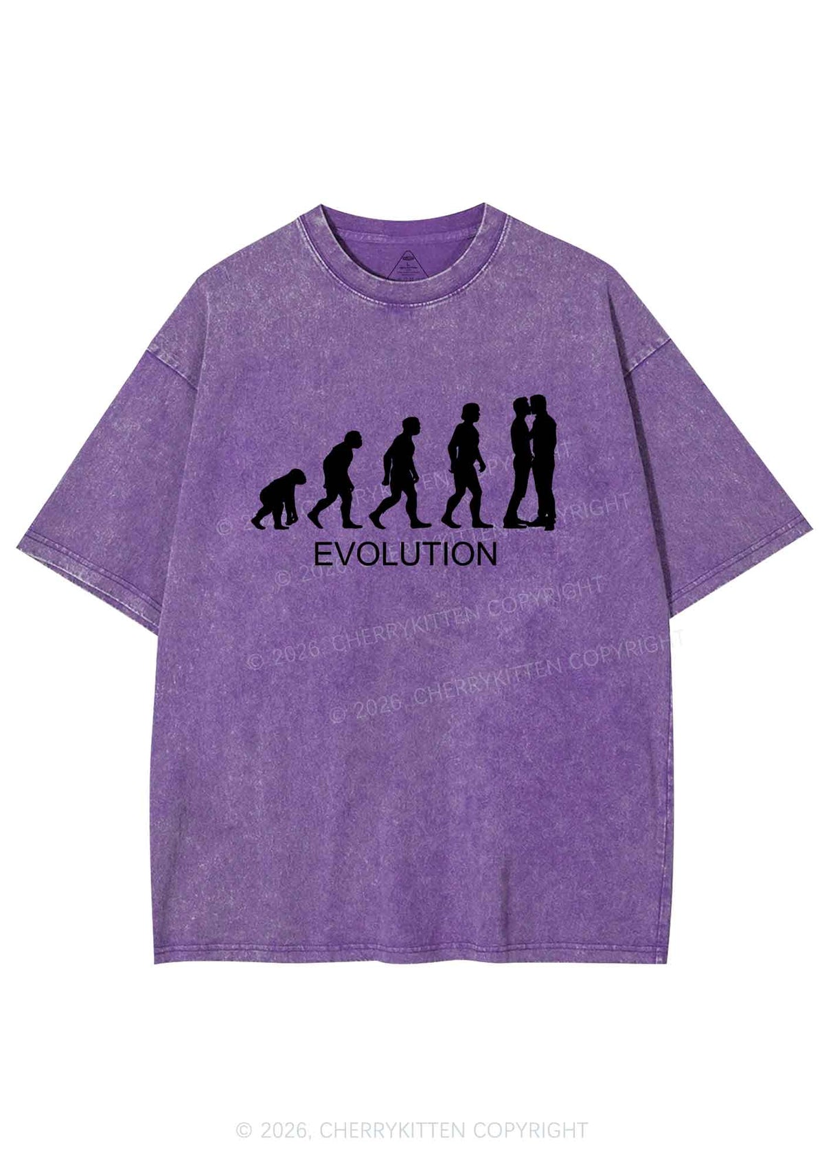 Gay Evolution Pride Y2K Shirts Washed Tee Cherrykitten