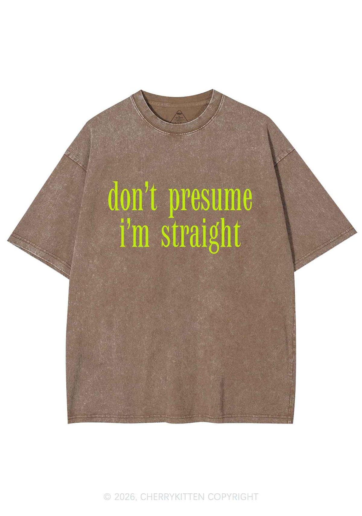 Dont Presume Im Straight Pride Y2K Shirts Washed Tee Cherrykitten