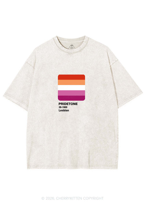 Pridetone Lesbian Pride Y2K Shirts Washed Tee Cherrykitten