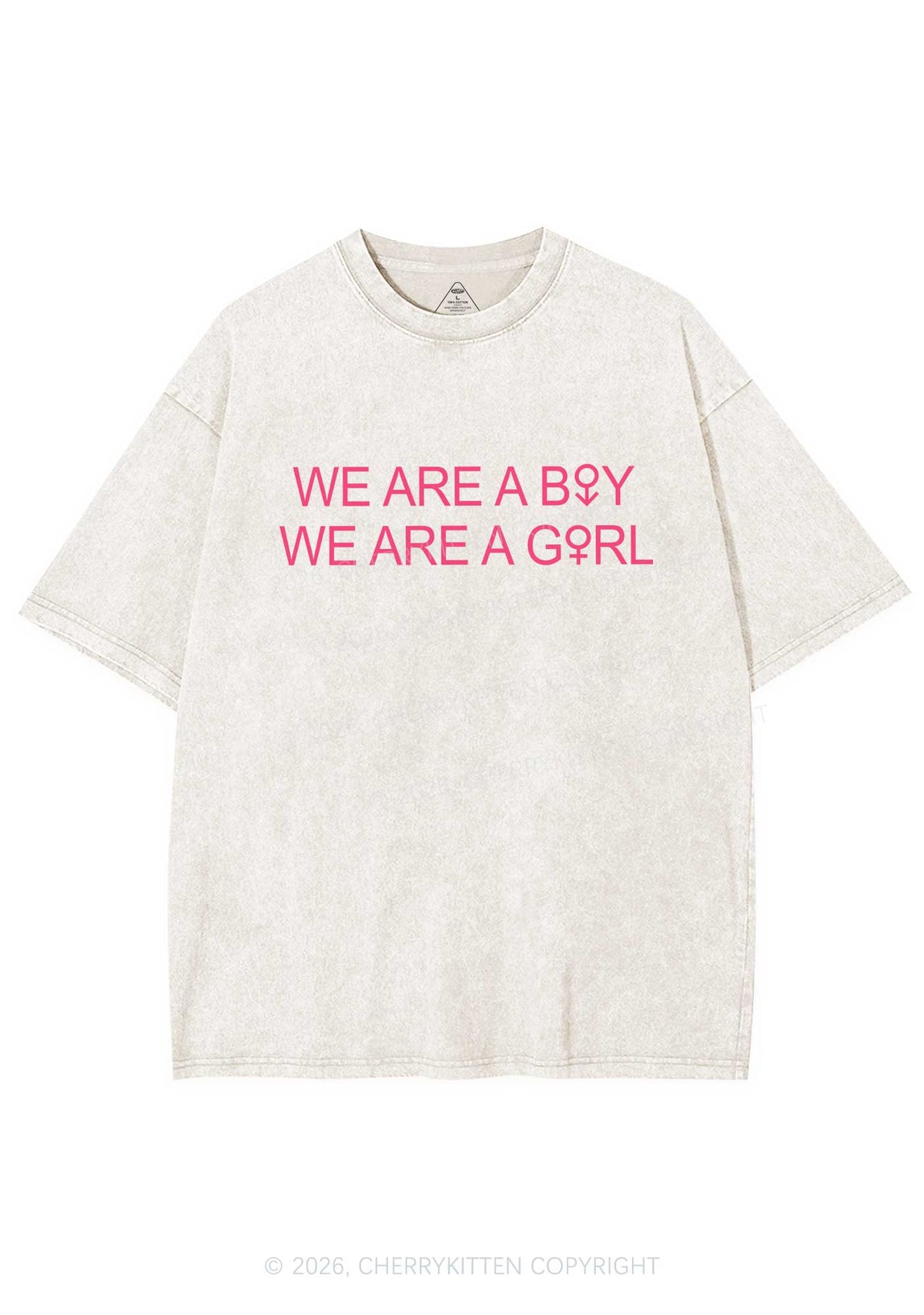 We Are A Boy Pride Y2K Shirts Washed Tee Cherrykitten