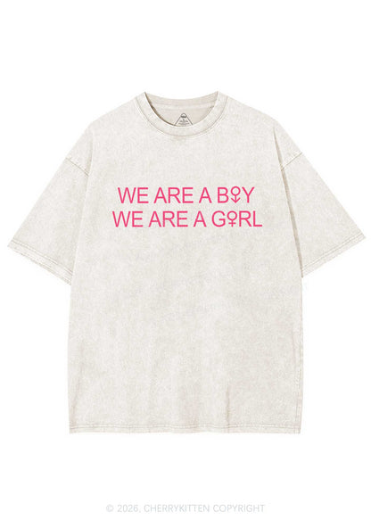 We Are A Boy Pride Y2K Shirts Washed Tee Cherrykitten