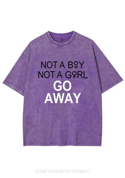 Go Away Pride Y2K Shirts Washed Tee Cherrykitten