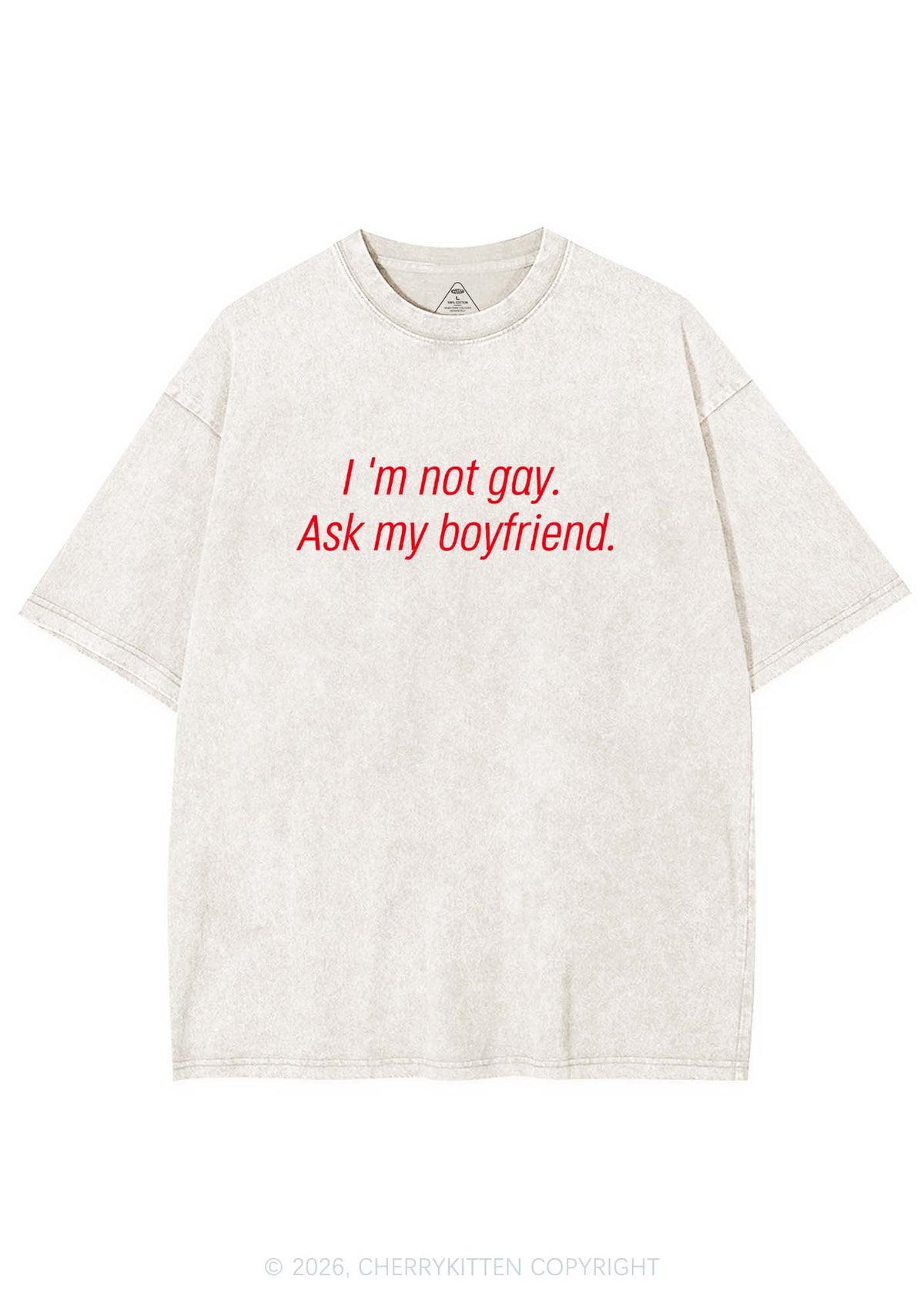 Im Not Gay Pride Y2K Shirts Washed Tee Cherrykitten