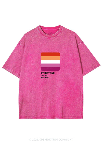 Pridetone Lesbian Pride Y2K Shirts Washed Tee Cherrykitten