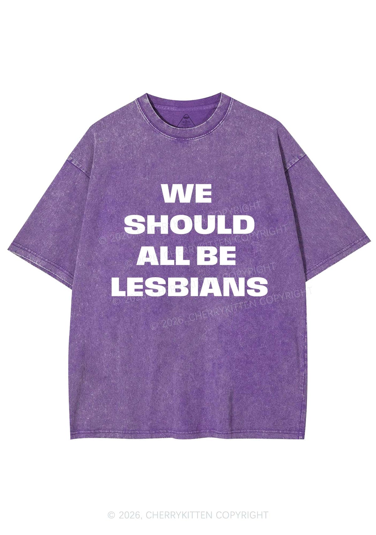 We Should All Be Lesbians Pride Y2K Shirts Washed Tee Cherrykitten